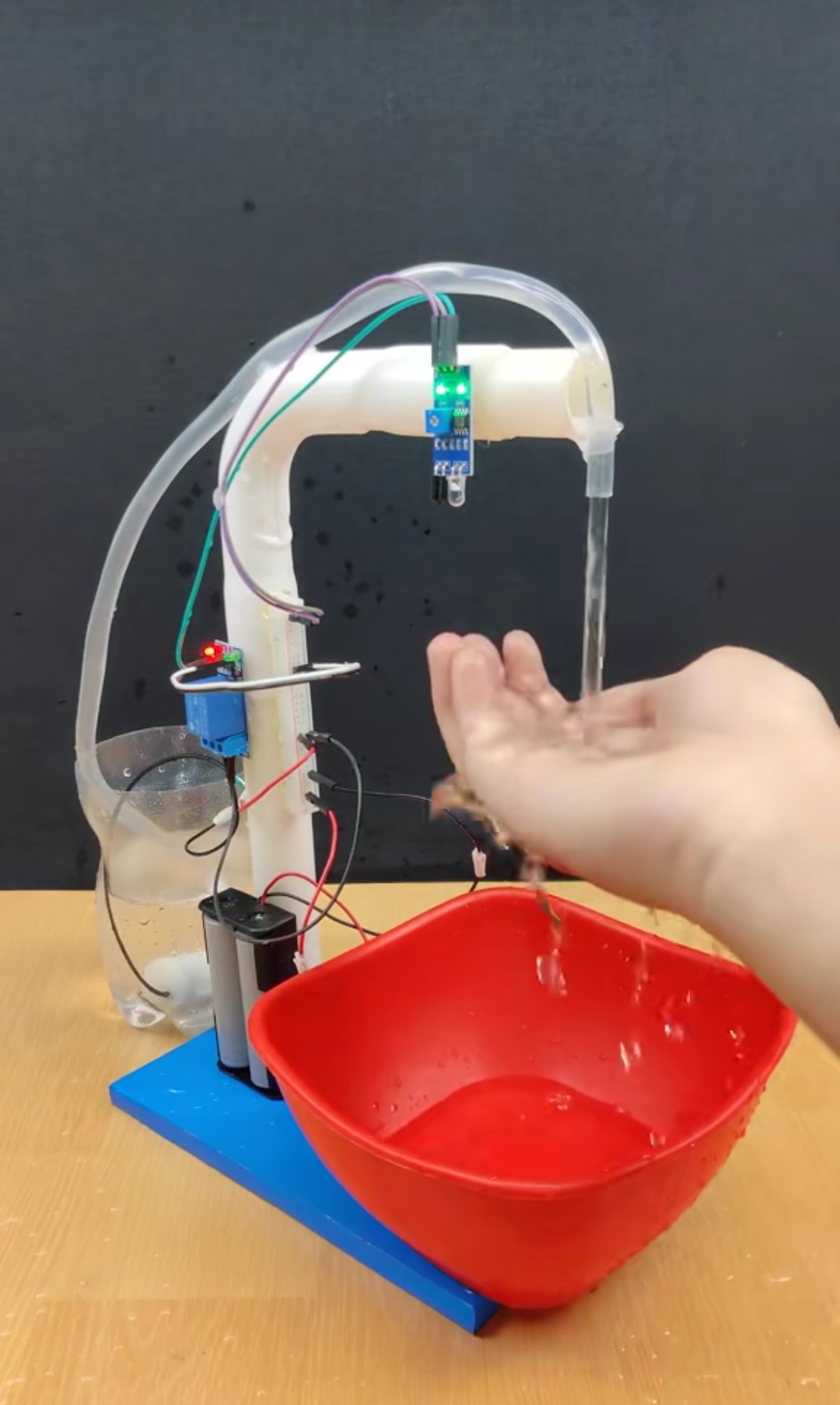 Hydroponics System